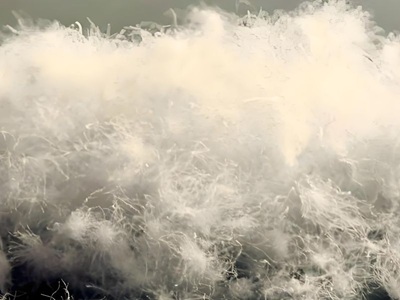 灰鹅绒 羽绒厂家 杭州雁翎羽绒